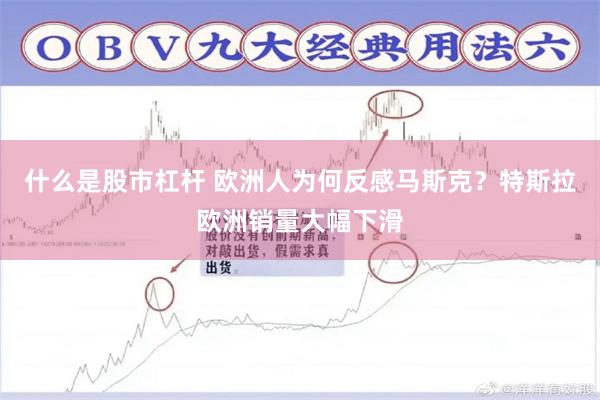 什么是股市杠杆 欧洲人为何反感马斯克？特斯拉欧洲销量大幅下滑