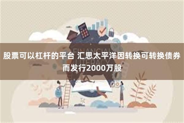 股票可以杠杆的平台 汇思太平洋因转换可转换债券而发行2000万股