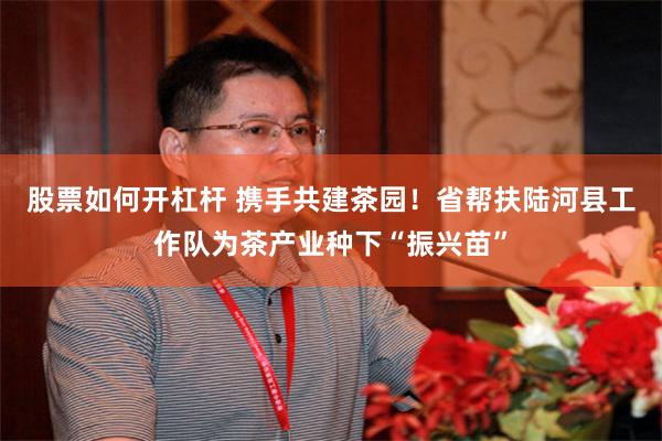 股票如何开杠杆 携手共建茶园！省帮扶陆河县工作队为茶产业种下“振兴苗”