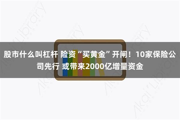 股市什么叫杠杆 险资“买黄金”开闸！10家保险公司先行 或带来2000亿增量资金