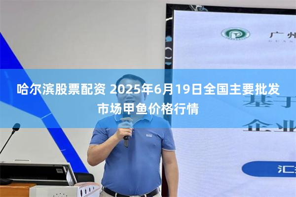 哈尔滨股票配资 2025年6月19日全国主要批发市场甲鱼价格行情