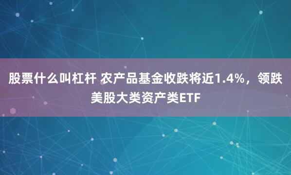 股票什么叫杠杆 农产品基金收跌将近1.4%，领跌美股大类资产类ETF