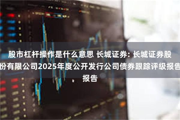 股市杠杆操作是什么意思 长城证券: 长城证券股份有限公司2025年度公开发行公司债券跟踪评级报告