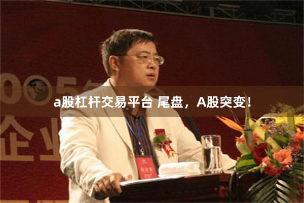 a股杠杆交易平台 尾盘，A股突变！