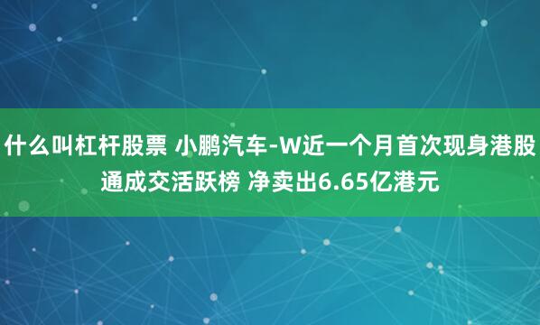 什么叫杠杆股票 小鹏汽车-W近一个月首次现身港股通成交活跃榜 净卖出6.65亿港元