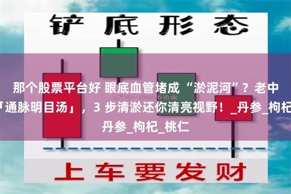 那个股票平台好 眼底血管堵成 “淤泥河”？老中医的「通脉明目汤」，3 步清淤还你清亮视野！_丹参_枸杞_桃仁