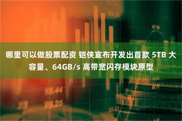 哪里可以做股票配资 铠侠宣布开发出首款 5TB 大容量、64GB/s 高带宽闪存模块原型